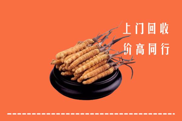 收购行情：汾西县回收散虫草